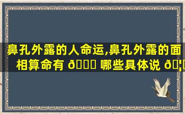 鼻孔外露的人命运,鼻孔外露的面相算命有 🐎 哪些具体说 🦁 法